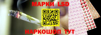 соль ск Будённовск