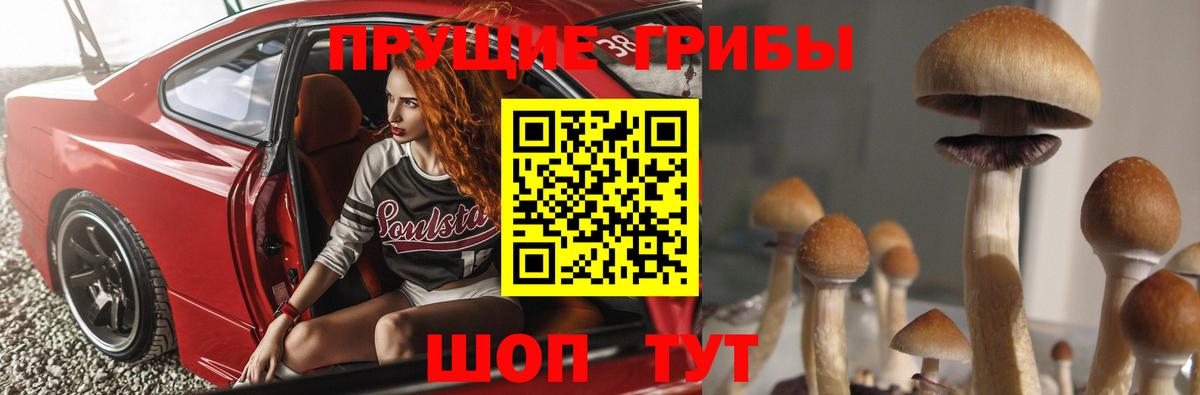 Псилоцибиновые грибы Cubensis  Вход с VPN  Псилоцибиновые грибы мицелий  Похвистнево 
